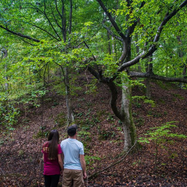 Loess-covered ridge at Valley Creek State Park