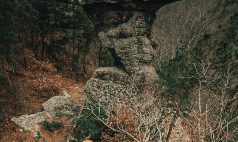 View from hike in Arkansas